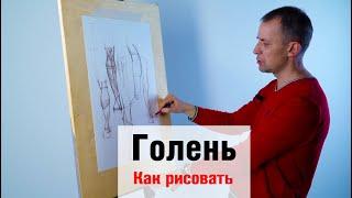 Как рисовать "Голень" - А. Рыжкин