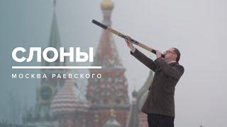 СЛОНЫ | История Москвы - Москва Раевского