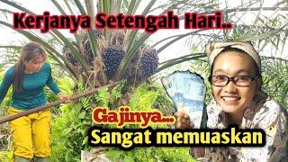 Kebun sawit Kalteng || Gaji pekerja sawit di Kalimantan