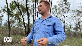 There's no scientific evidence that water divining works so why is it still popular? | ABC Australia