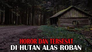 HOROR DAN TERSESAT DI HUTAN ALAS ROBAN - CERITA HOROR - KISAH HOROR - CERITA MISTIS