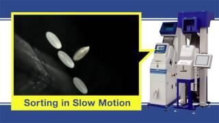 SATAKE Chute Type Optical Sorter Slow Motion Video〈English ver.〉