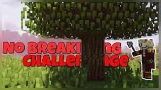 Minecraft But If I Break A Block The Video Ends