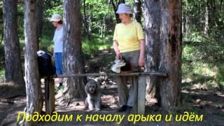 Прогулка к источнику Бабу-Корыто