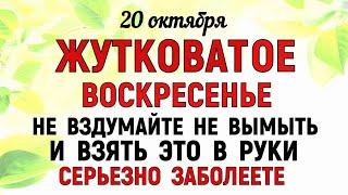 20 октября День Сергея Зимнего Что нельзя делать 20 октября День Сергея. Народные традиции и приметы