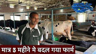 मात्र 3 महीने मे बदल गया फार्म//dairy farm Paliganj patna bihar/cow farm patna bihar /