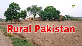 Village Life In Pakistan Daily Routine Work in 2020