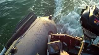 Лодка ПВХ 290 и лодочный мотор гибрид Лифан 6 л/с глиссер скорость 26 км/ч рек Дон