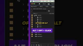 This PREMIERE PRO TIP is SO UNDERRATED! (MASS OPEN & CLOSE SUBFOLDERS)