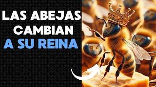 Como Hacen Las Abejas Para CAMBIAR a su Reina  