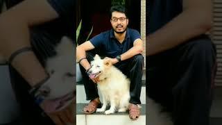 How to get Dog license malayalam | #shorts #DADUZ CORNER