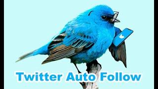 How to mass Follow Twitter Accounts [Twitter automation]