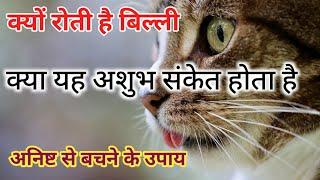 क्या बिल्ली का रोना अशुभ होता है|| billi ke rone se kya hota he || #jyotish  #astrology