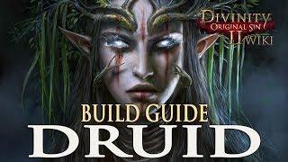 Divinity Original Sin 2 Builds - Druid (Mage/Summoner)