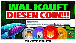 WAL KAUFT DIESEN COIN IM PRESALE!!! CRYPTO ALLSTARS MIT 1500% STAKING RENDITE! #MEMECOIN #PRESALE