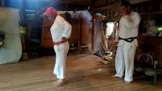 Video # 56 Pin An San Dan Bunkai demonstrated by Sensei Nick Flores.