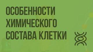 Особенности химического состава клетки. Видеоурок по биологии 10 класс