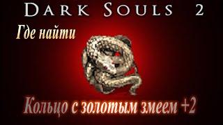 ГАЙД Где найти Кольцо с Золотым Змеем +2 в Dark Souls 2 (сжечь уголь Вражды в костре "Верхний Вал")