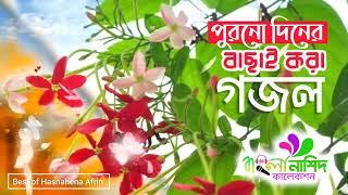 হাসনাহেনার ৮টি পুরনো দিনের বাছাই করা গজল | Best Of Hasnahena Afrin