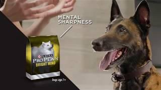 Purina® Pro Plan® Nutrition that Performs®