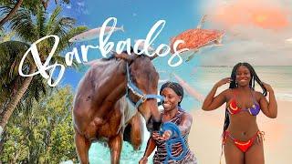 Barbados Baecation Bliss: Sunsets, Sea Turtles & Swimming w/ Horses | Lydia Dinga