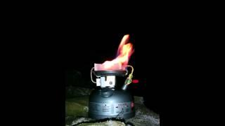 Coleman 533 Dual Fuel Stove on Unleaded