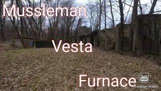 Mussleman Vesta Furnace With MattPG