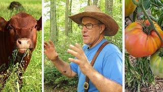 His OFF GRID automatic WATER System produces food abundance | Joel Salatin