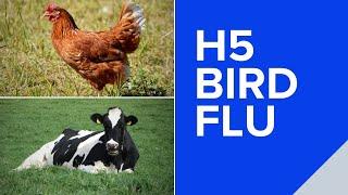 Los Angeles County reports its first human case of H5 Bird Flu