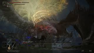 Agheel the Dragon Boss Battle Elden RIng