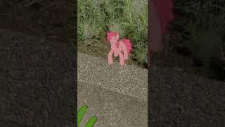 Anon witness a wild Ponka in the park #shorts