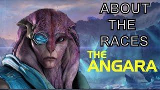 About The Races: Angara