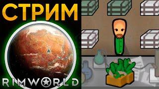 Строим Нарко-Империю | Rimworld