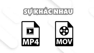 File MP4 là gì? File MOV là gì? Cách sử dụng như nào?