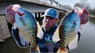 HOW TO CATCH MONSTER PRE-SPAWN CRAPPIE FROM THE BANK | DOUBLE JIG RIG‼️CRAPPIE FISHING 2025‼️