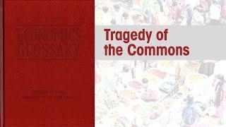 Economics Glossary: Tragedy of the Commons