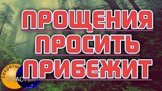 ОСОЗНАЕТ ВИНУ, РАСКАЕТСЯ будет просить прощения, мастер Катя, секреты счастья