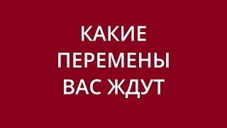 Расклад на неделю. Личная жизнь, работа, финансы.