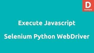 Execute Javascript using Selenium Python