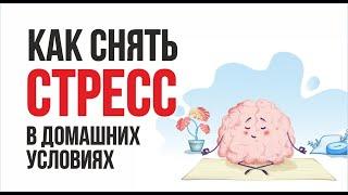 Как снять стресс в домашних условиях! | Евгений Гришечкин