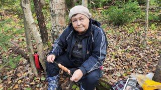 В осенний лес за грибами с костром. Пермь. 26 сент 2024