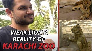 WEAK LION & REALITY OF KARACHI ZOO | Azlan Shah