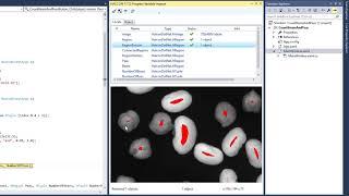 Debugging with HALCON Variable Inspect in Visual Studio