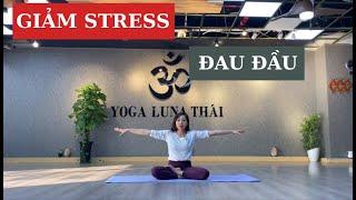 Yoga cơ bản cho người mới bắt đầu - Giảm căng thẳng, stress | Yoga Luna Thái |