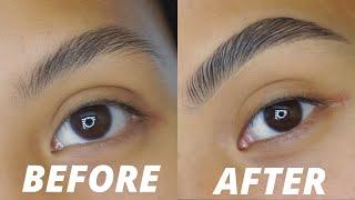 BUSHY SOAP BROW ROUTINE (FOR SPARSE BROWS)  | 2022