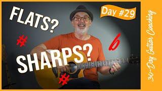 What are SHARPS and FLATS | reAL guitar