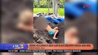 'Si Kocong' Bocah Bule Viral Akan Dideportasi - FAKTA TERKINI