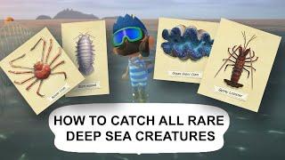 Complete Deep Sea Diving Creature Guide for All Rare Species | Animal Crossing New Horizons