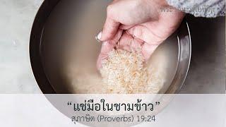 [พระวจนะเพื่อชีวิต] แช่มือในชามข้าว สุภาษิต (Proverbs) 19:24