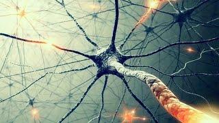 Secrets of consciousness. God is in neurons - [ Theory of Everything by Athene ]